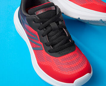 &Scaron;NĚROVAC&Iacute;